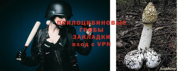 мет Армянск