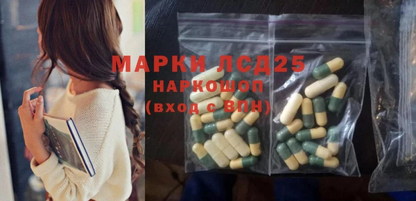 дживик Аркадак