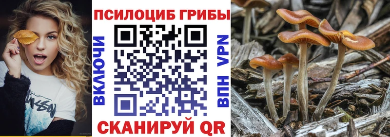 hydra вход  Тутаев  Псилоцибиновые грибы Magic Shrooms 